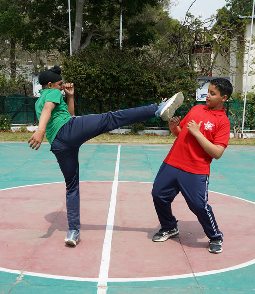 DPS School