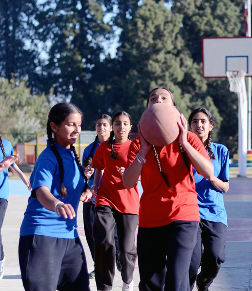 DPS School