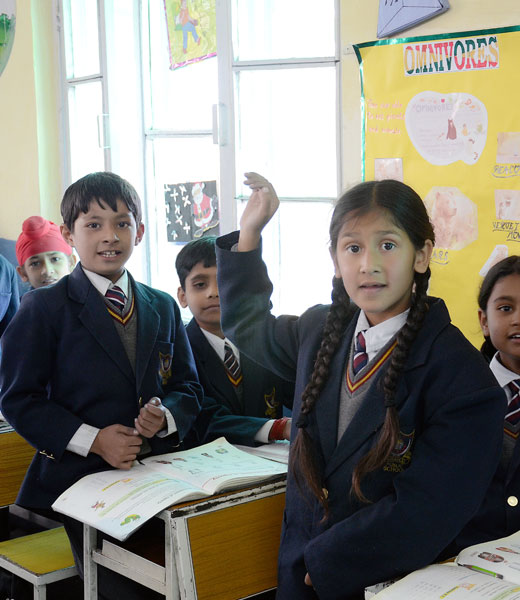 DPS School 