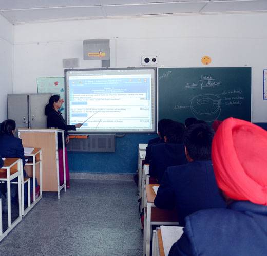 Principal DPS