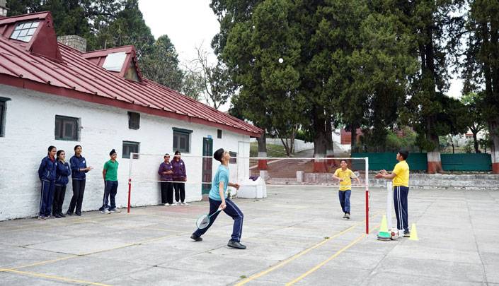 Cricket