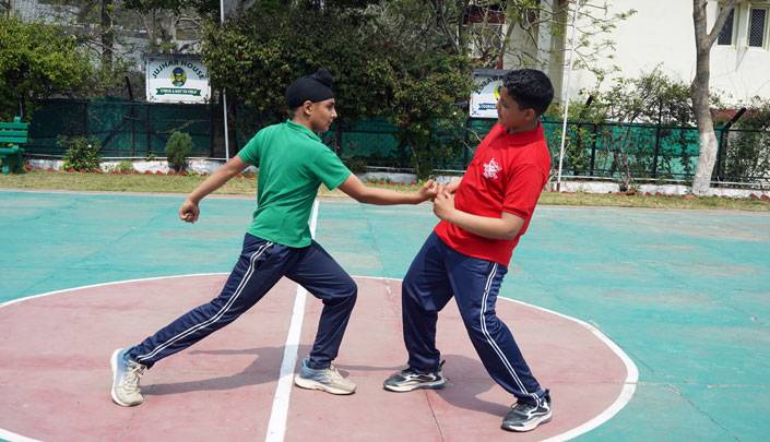 Cricket